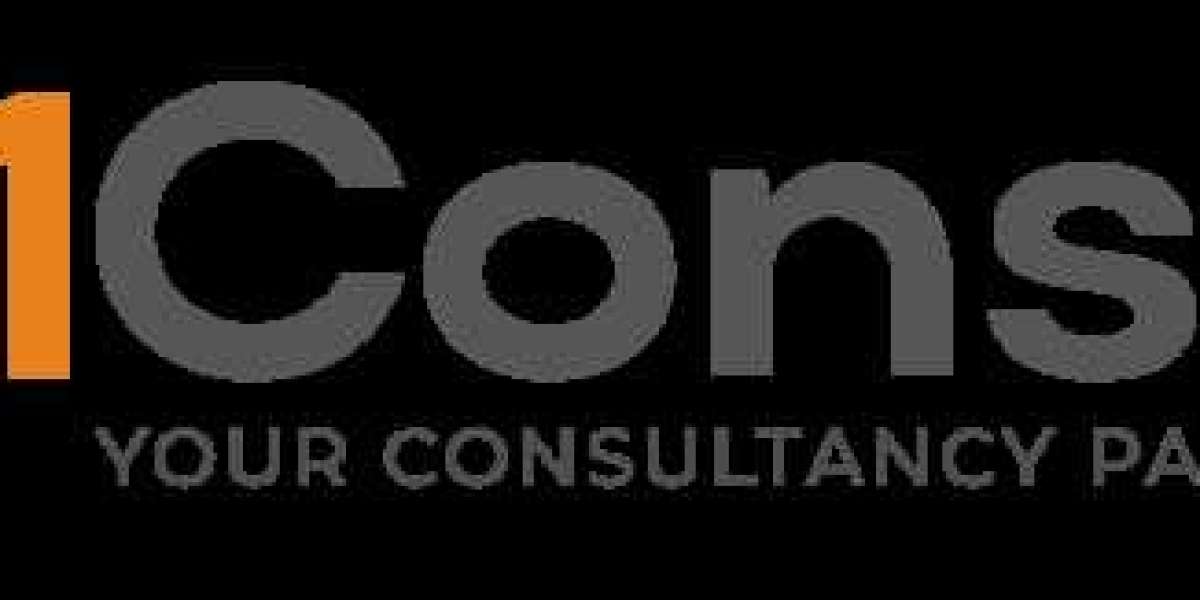 The Post-Brexit Guide: Understanding the UK’s New Immigration System