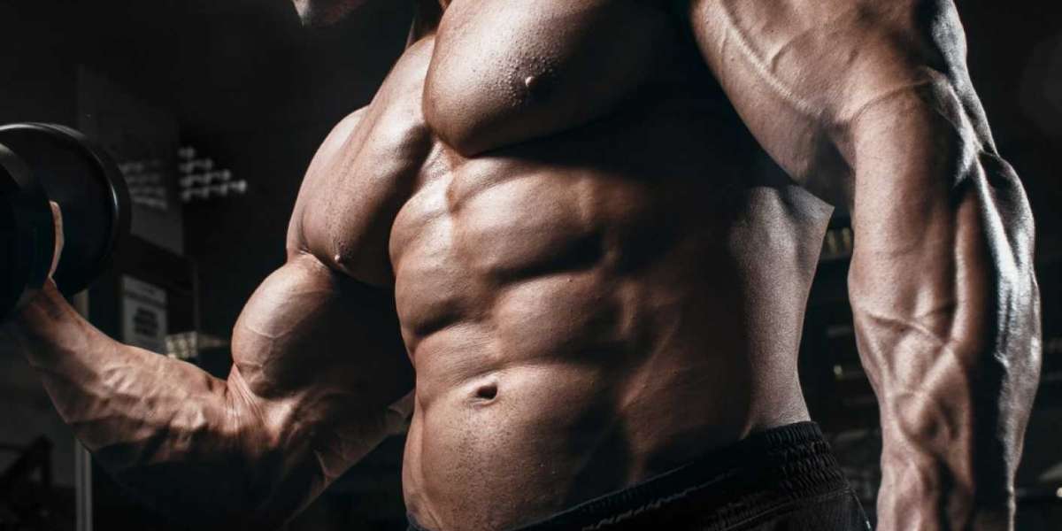 Pharmaqo Labs Trusted Steroid Options Backed by Quality Assurance