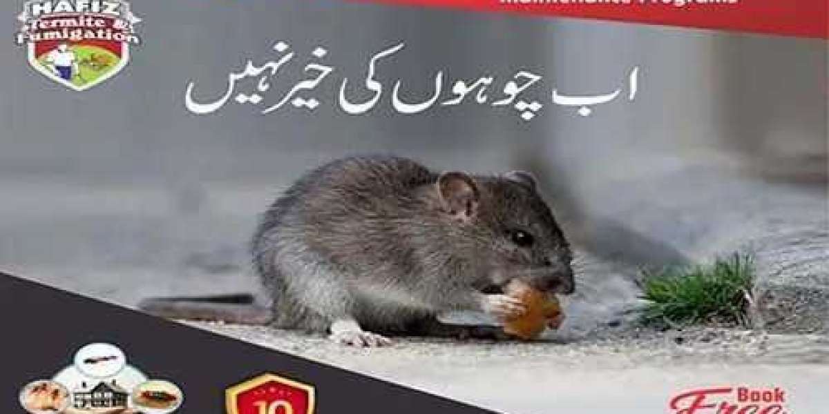 Rat Killer & Rodent Control Services | hafizpestcontrol
